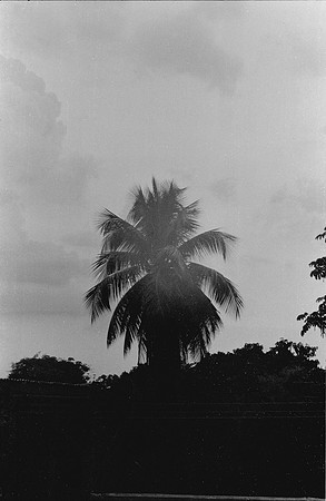 04 Christopher Robles - Ilford HP5+ 400 por Arca Film Lab (Febrero 2025) - Rollo 0680
