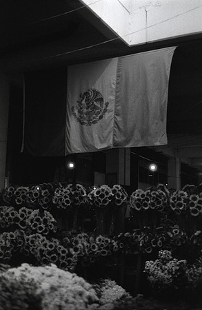 14 Isabel Fuentes - Arista 400 por Arca Film Lab (Agosto 2024) - Rollo 0242