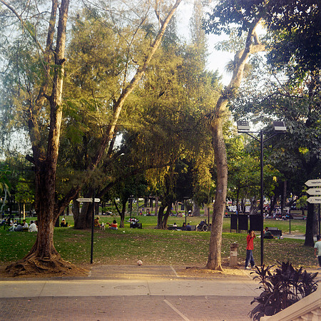 11 Mauricio Salguero - Kodak Gold 200 120 por Arca Film Lab (Septiembre 2024) - Rollo 0355