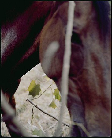 10 José Jiménez - Kodak Portra 400 por Arca Film Lab (Junio 2025) - Rollo 1111