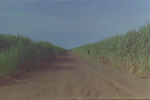 22 Christian Arriola - Kodak Gold 200 por Arca Film Lab (Agosto 2024) - Rollo 0232
