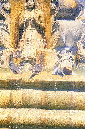 10 Ronald Ottoniel - Fujifilm 400 por Arca Film Lab (Febrero 2025) - Rollo 0867