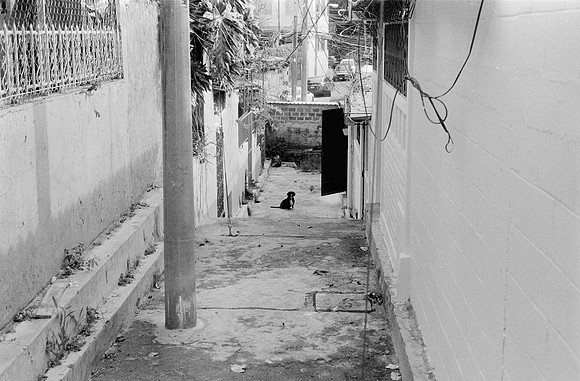 15 Gerardo Recinos - Fomapan 400 por Arca Film Lab (Noviembre 2024) - Rollo 0487