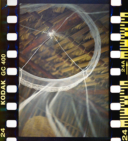 26 Yasemin Topcan - Kodak Ultramax 400 por Arca Film Lab (Octubre 2024) - Rollo 0391