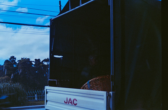 16 Ernesto Ábrego - Kodak Ultramax 400 por Arca Film Lab (Mayo 2025) - Rollo 1081