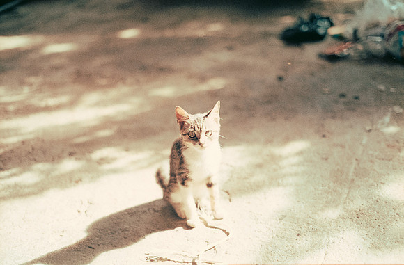 12 Emerson Quintanilla - Fujifilm 200 por Arca Film Lab (Abril 2025) - Rollo 0907