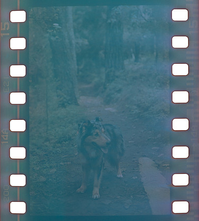 15 Omar Véliz - Fujifilm 200 por Arca Film Lab (Agosto 2024) - Rollo 0299