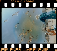 00005 Carlos León - Kodak Gols 200 - Arca Film Lab (Noviembre 2024) - Rollo 0450