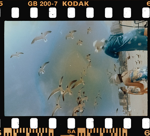 00005 Carlos León - Kodak Gols 200 - Arca Film Lab (Noviembre 2024) - Rollo 0450