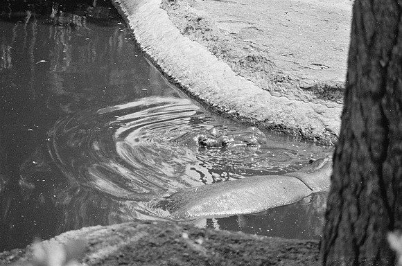 16 Carmen Tórres - Ilford HP5+ 400 por Arca Film Lab (Septiembre 2024) - Rollo 0334