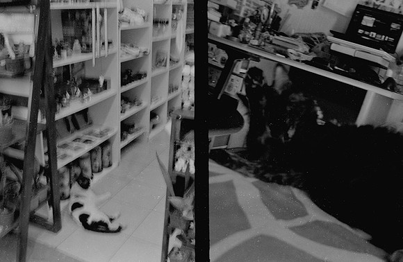 20 Natalia Mendoza - Kentmere Pan 400 por Arca Film Lab (Enero 2025) - Rollo 0696