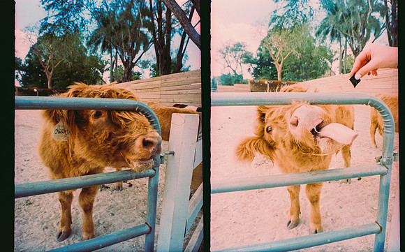 19 Roberto Samayoa - Fujifilm Provia 100F por Arca Film Lab (Mayo 2025) - Rollo 1002