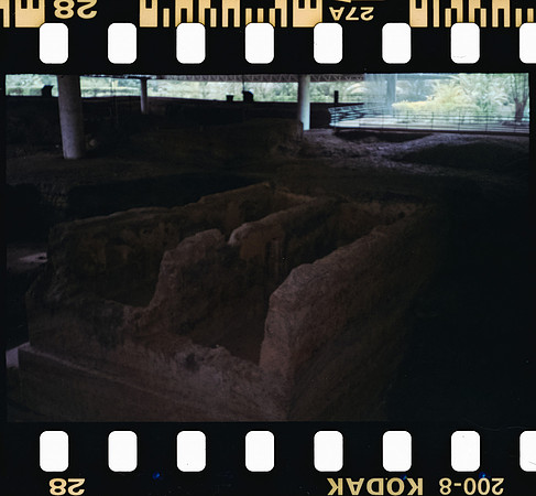 27 Rodrigo Gonzalez - Kodacolor 200 por Arca Film Lab (Junio 2025) - Rollo 1117
