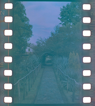 02 Omar Véliz - Fujifilm 200 por Arca Film Lab (Agosto 2024) - Rollo 0299