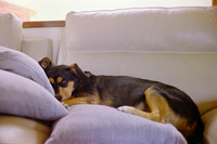 12 Rosa Badalamenti - Kodak Ultramax 400 por Arca Film Lab (Junio 2025) - Rollo 1167