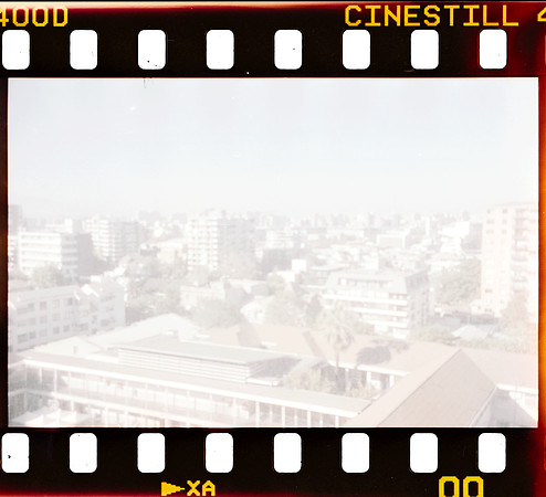 00002 José Gabriel Gatica - Cinestill 400D - Arca Film Lab (Noviembre 2024) - Rollo 0428
