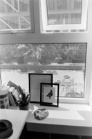 73 Durden - Kodak 400TX - Arca Film Lab (Mayo 2024)