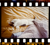 1147 Maria Paula - Kodak Ultramax 400 - Arca Film Lab (Junio 2025)