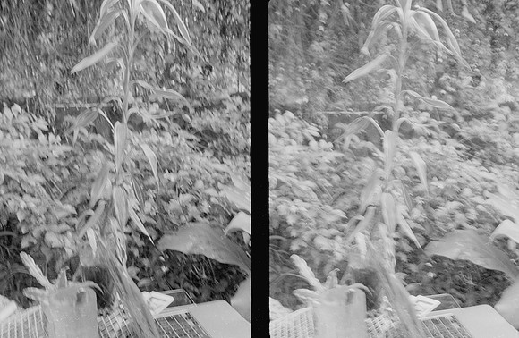 29 Natalia Mendoza - Kentmere Pan 400 por Arca Film Lab (Enero 2025) - Rollo 0696