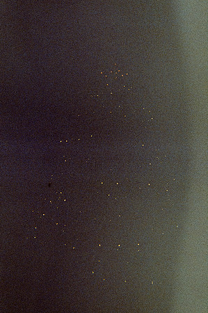 02 Zulma Rodríguez - Cinestill 800T por Arca Film Lab (Enero 2025) - Rollo 0604