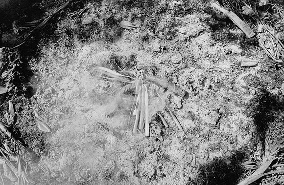 21 Guilia Trobbiani - Ilford HP5+ 400 por Arca Film Lab (Abril 2025) - Rollo 0932