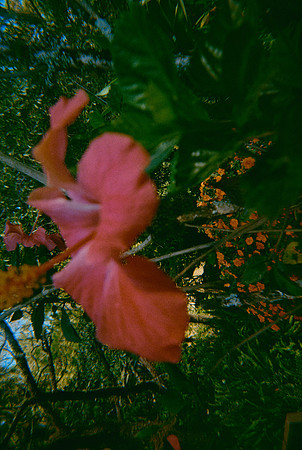21 Gaby Rodríguez - Kodak Gold 200 por Arca Film Lab (Febrero 2025) - Rollo 0852