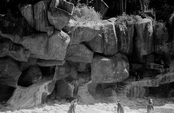 17 Kristel Calderón - Kentmere Pan 400 por Arca Film Lab (Enero 2025) - Rollo 0640