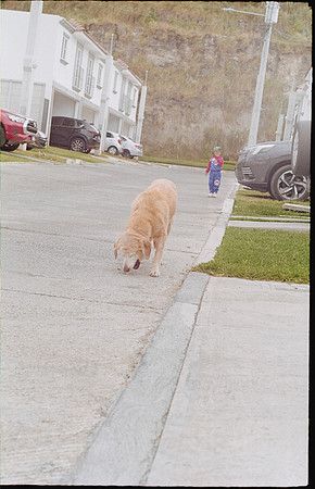 14 Erick Galindo - Kodak Gold 200 por Arca Film Lab (Febrero 2025) - Rollo 0768