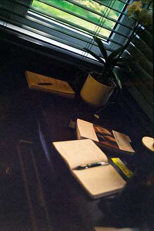 02 Guillermo López- Fujifilm 200 por Arca Film Lab (Abril 2024)