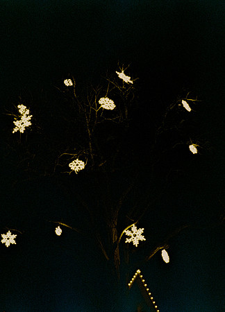 06 Steve Palma - Fujifilm 400 por Arca Film Lab (Enero 2025) - Rollo 0628