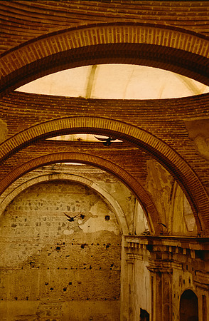 11 Ronald Ottoniel - Cinestill 400D por Arca Film Lab (Febrero 2025) - Rollo 0759