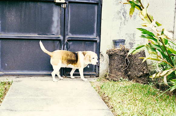 22 Carlos Cabrera - Kodak Ultramax 400 por Arca Film Lab (Marzo 2025) - Rollo 0788