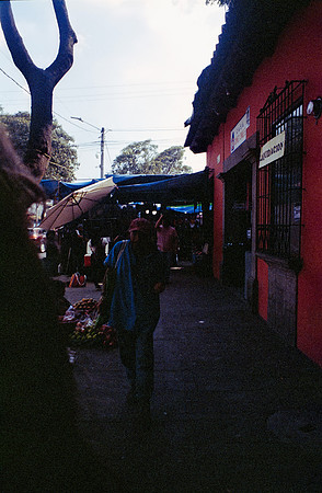 30 José David Fuentes - Kodak Portra 400 por Arca Film Lab (Diciembre 2024) - Rollo 0537