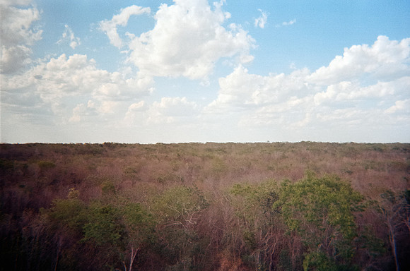 05 José David Fuentes - Kodak Ultramax 400 por Arca Film Lab (Julio 2024) - Rollo 0175