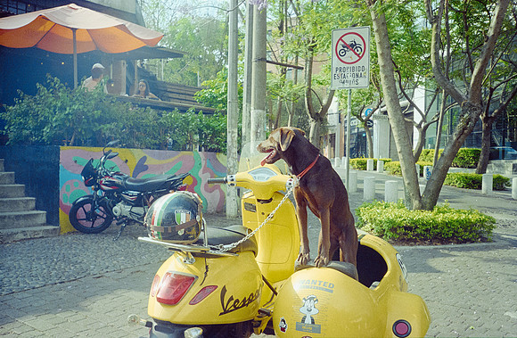 32 Erick Galindo - Fujifilm 400 por Arca Film Lab (Mayo 2025) - Rollo 1091