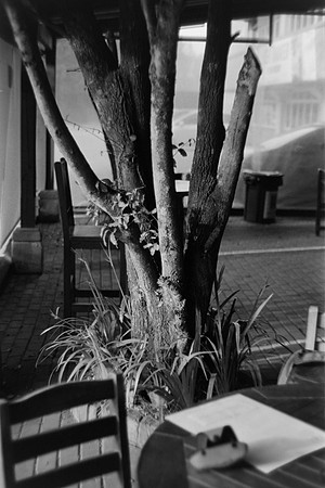 12 Pablo Josué Noack - Ilford HP5 Plus 400 por Arca Film Lab (Mayo 2024) - Rollo 0076