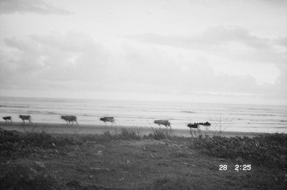 18 Elena Campos - Ilford HP5+ 400 por Arca Film Lab (Junio 2025) - Rollo 1114