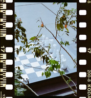 17 Carlos Castro - Kodacolor 200 por Arca Film Lab (Junio 2025) - Rollo 1119