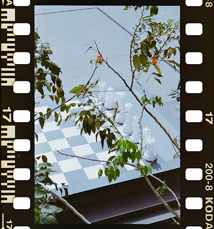 17 Carlos Castro - Kodacolor 200 por Arca Film Lab (Junio 2025) - Rollo 1119
