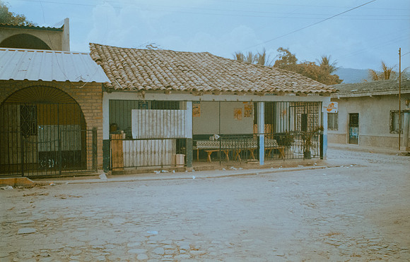 12 Caleb Rodríguez - Kodak Gold 100 por Arca Film Lab (Enero 2025) - Rollo 0583