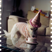 03 Raúl Rivas - Kodak Vision 3 500T por Arca Film Lab (Junio 2025) - Rollo 1137
