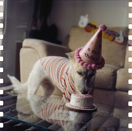 03 Raúl Rivas - Kodak Vision 3 500T por Arca Film Lab (Junio 2025) - Rollo 1137