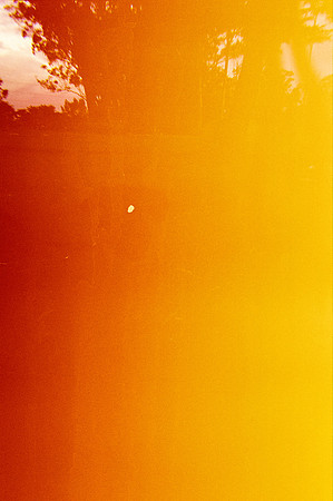 08 Andrea Osorio - Kodak Gold 200 por Arca Film Lab (Enero 2025) - Rollo 0638