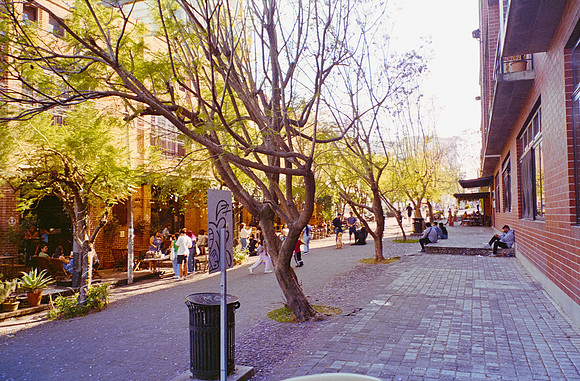 25 Ernesto Ábrego - Kodak Ultramax 400 por Arca Film Lab (Mayo 2025) - Rollo 1081