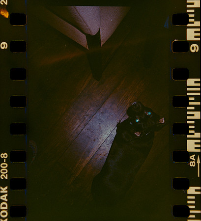 08 Shirley Brakiti - Kodak Gold 200 por Arca Film Lab (Julio 2024) - Rollo 0186