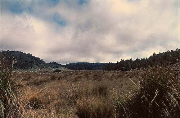 09 Andrés Cux - Fujifilm Provia 100F por Arca Film Lab (Enero 2025) - Rollo 0607