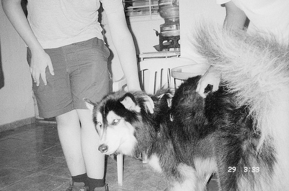 17 Elena Campos - Ilford HP5+ 400 por Arca Film Lab (Junio 2025) - Rollo 1114