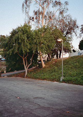 09 Gerardo Recinos - Cinestill 400D por Arca Film Lab (Septiembre 2024) - Rollo 0337