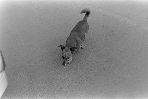 10 Pablo Josué Noack - Ilford HP5 Plus 400 por Arca Film Lab (Mayo 2024) - Rollo 0077