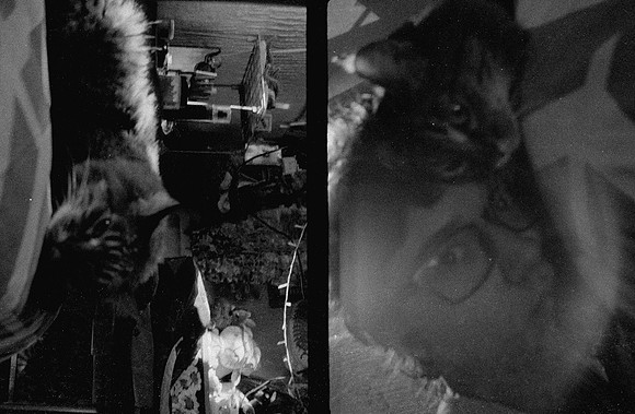 08 Natalia Mendoza - Kentmere Pan 400 por Arca Film Lab (Enero 2025) - Rollo 0696